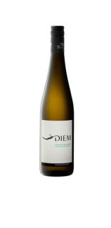 grüner Veltliner